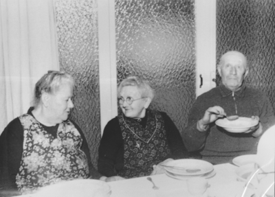 876818 Groepsportret van drie personen afkomstig uit de provincie Zeeland, die als evacuee opgevangen zijn in het ...